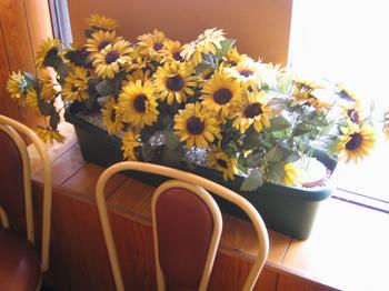 friendly_flowers.jpg