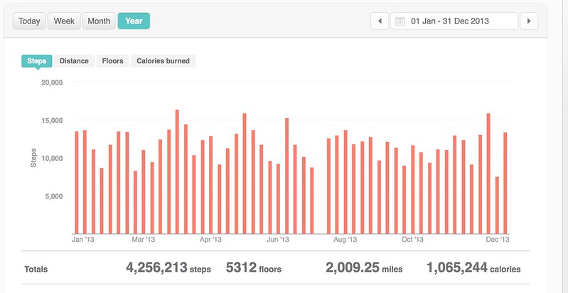 Fitbit 2013