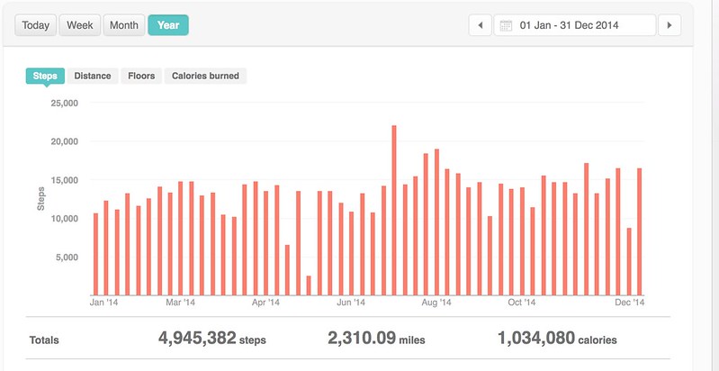 Fitbit 2014