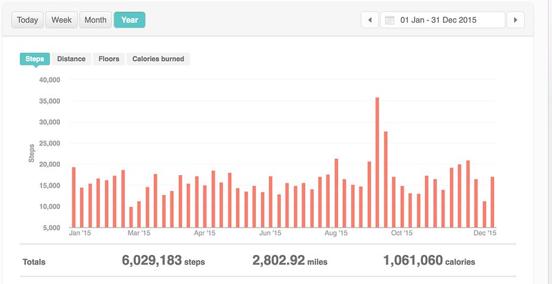 Fitbit 2015