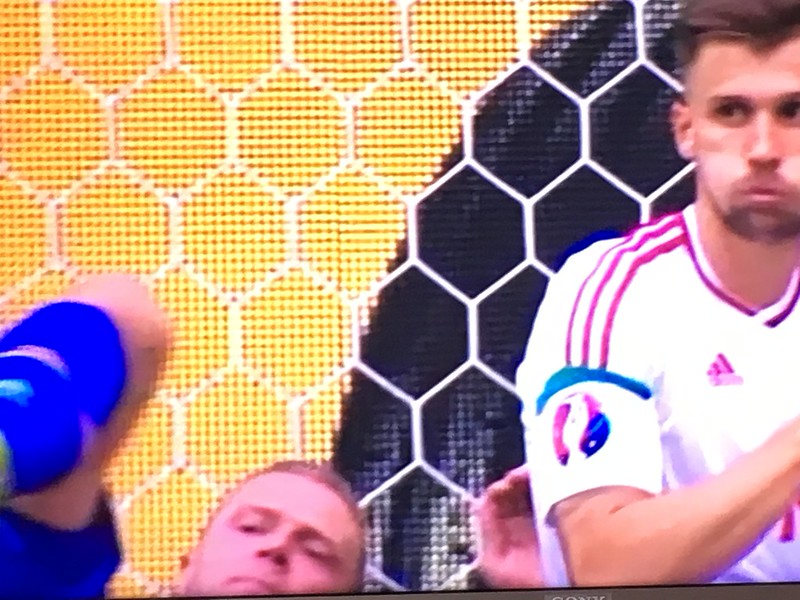 Iceland 1 - 1 Hungary