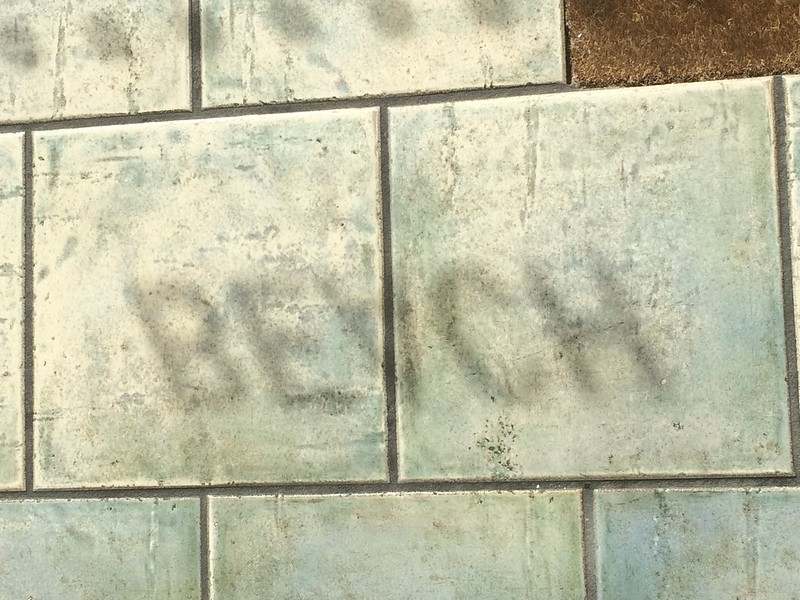 A day at the