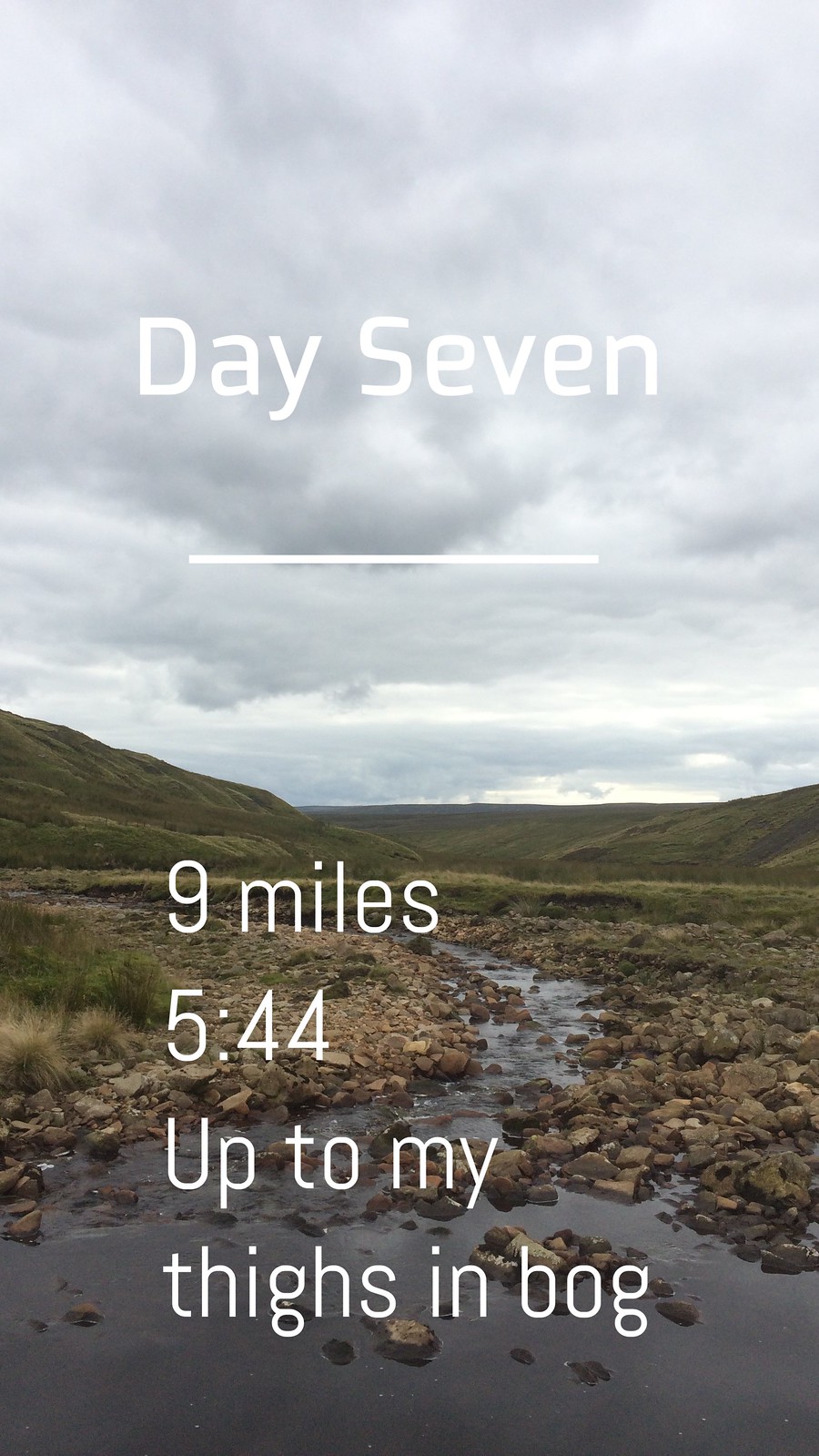 Day Seven
