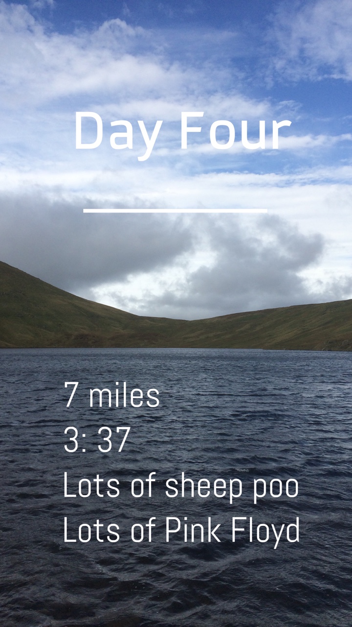 Day 4
