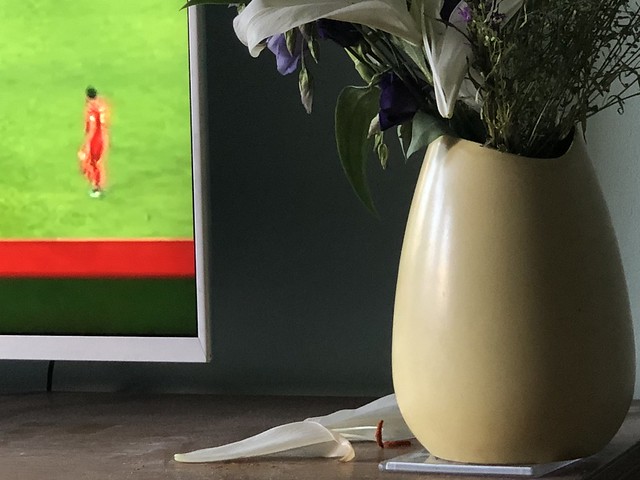 England 0 - 1 Belgium / Panama 1 - 2 Tunisia