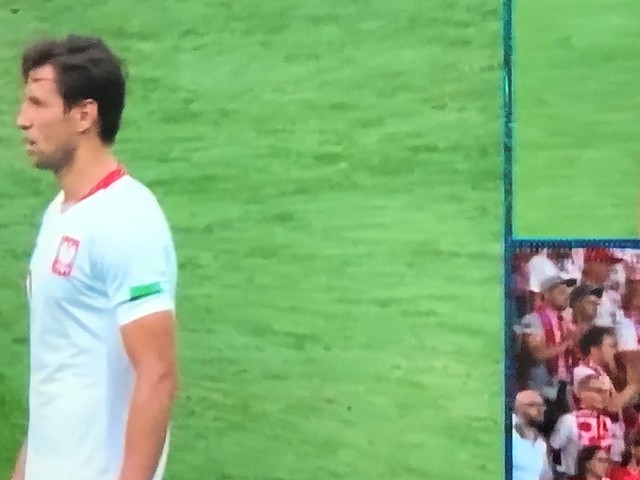 Poland 1 - 2 Senegal