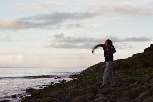 throwing stones