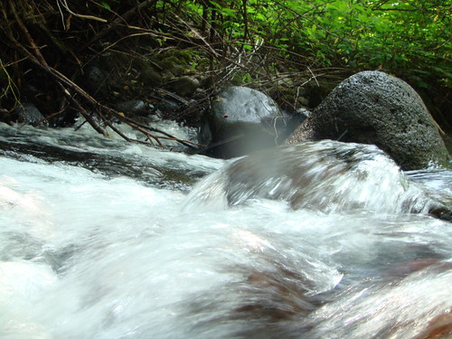 stream