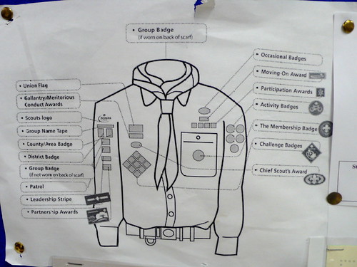 scouts