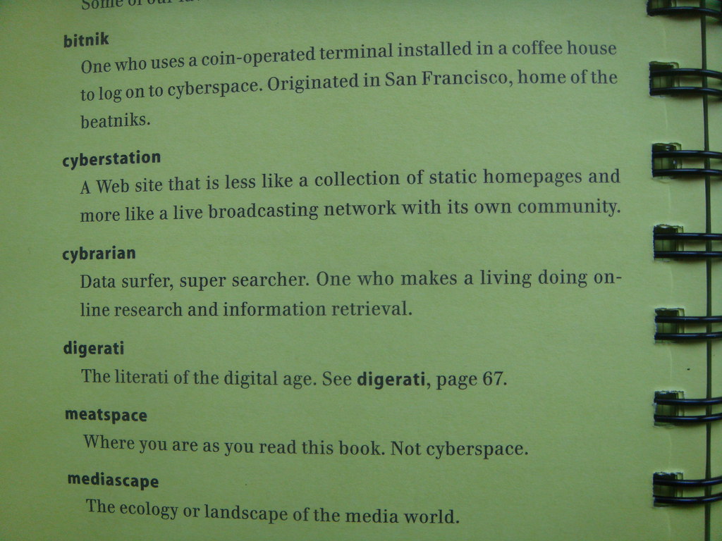 wired style - principles of english usage in the digital age