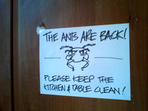 thanks ants