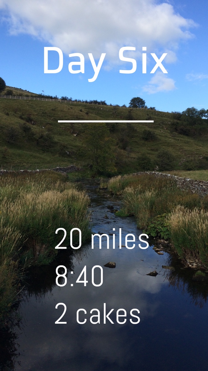 Day 6