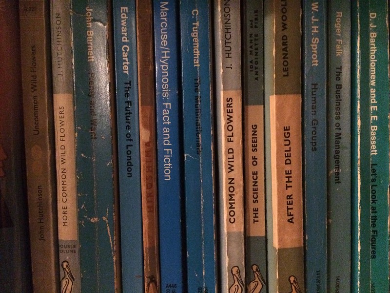 229