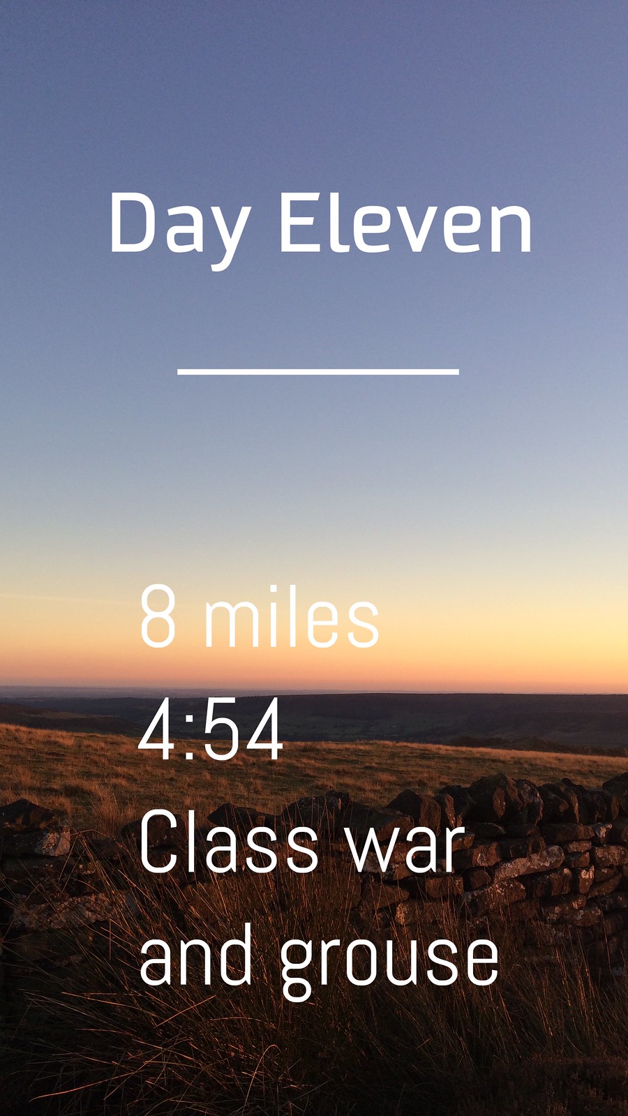 Day Eleven