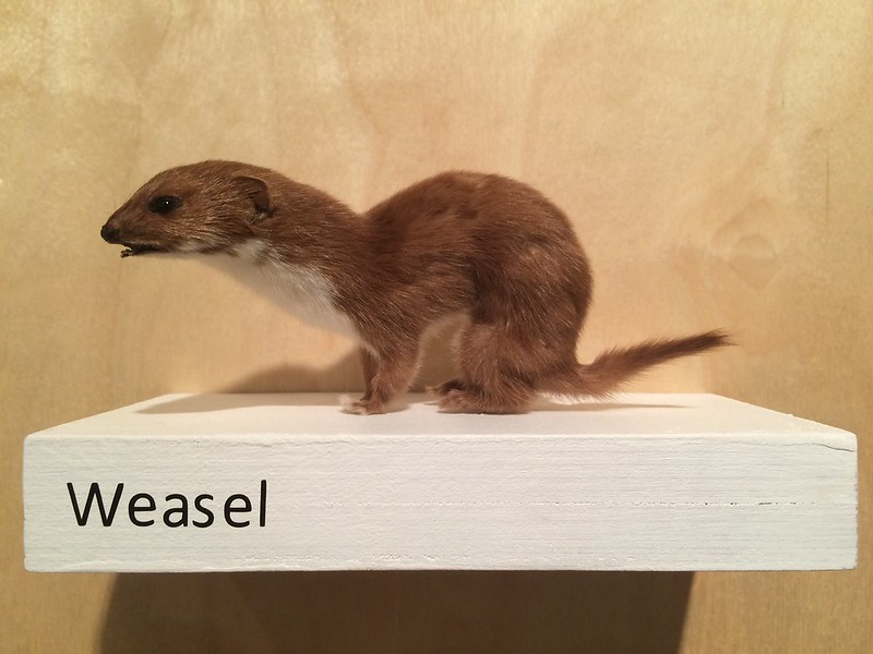 231