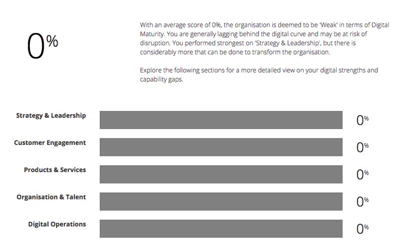 Deloitte Digital Survey