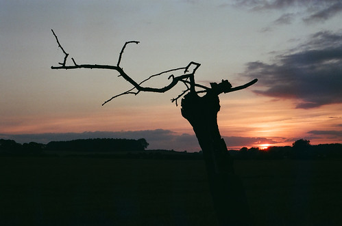 northumberland sunset