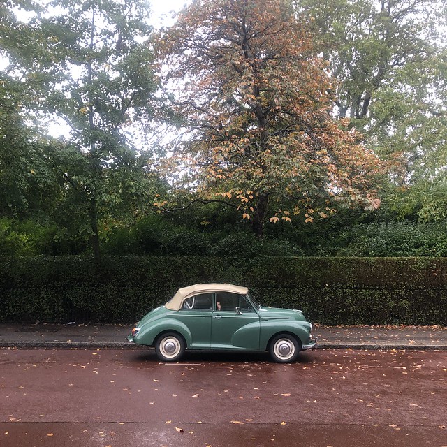 Morris in the park