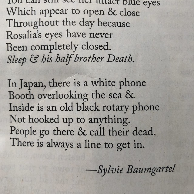Saving - Sylvie Baumgartel