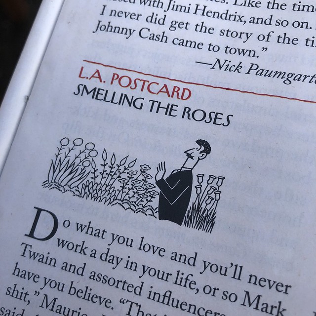 Smelling the roses