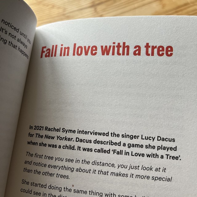 Fall in love with a tree