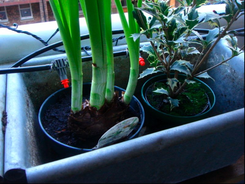 Playfulpresentation.032