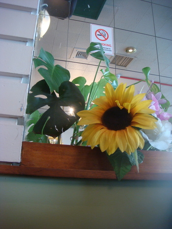 Dsc09650