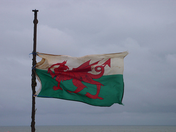 Flag