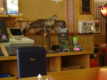 Tower_eagle