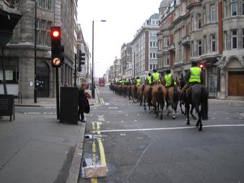 horses.jpg