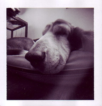 Lucy