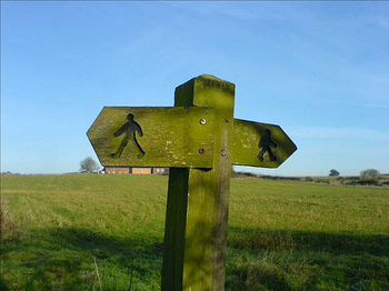 Walk