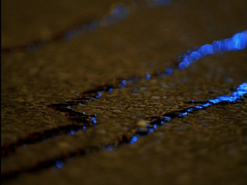 Thewire
