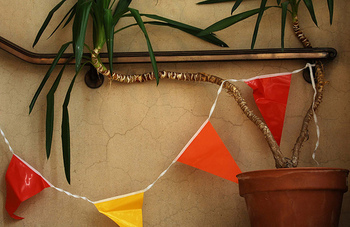 Interestingbunting