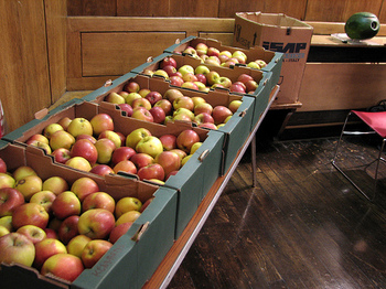 Apples