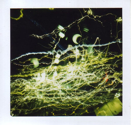 Polaroid