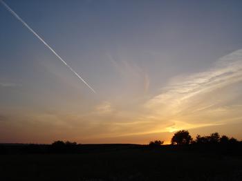 DSC00407