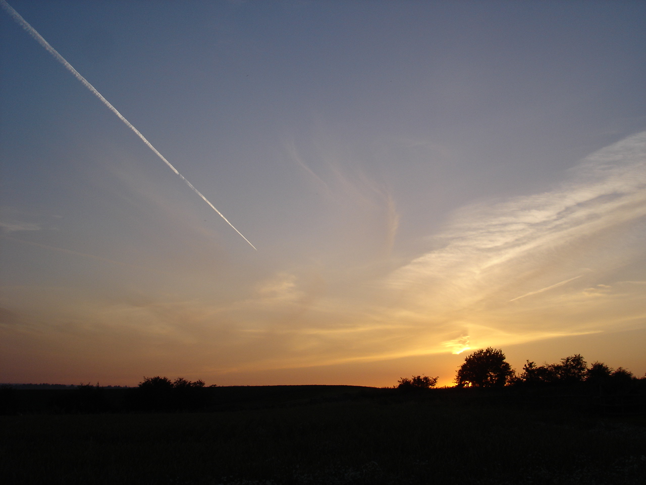 DSC00407
