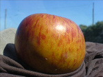 Apple4