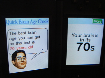Brain