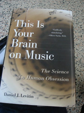 Brain_1