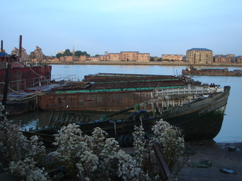 Dsc00769