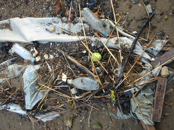 Dsc00807