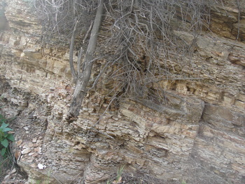 Dsc01308