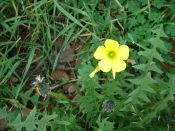 Dsc01312