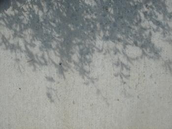 Dsc01317