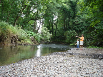 Dsc01691_1