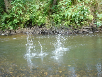 Dsc01700_1