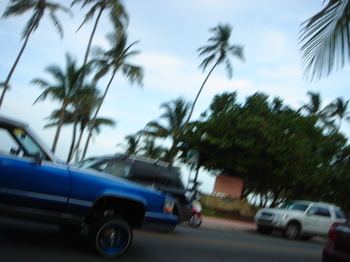 Dsc03937