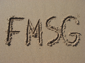Fmsg_1
